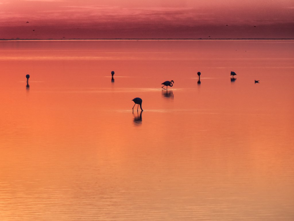 mehr-Meer.jpg