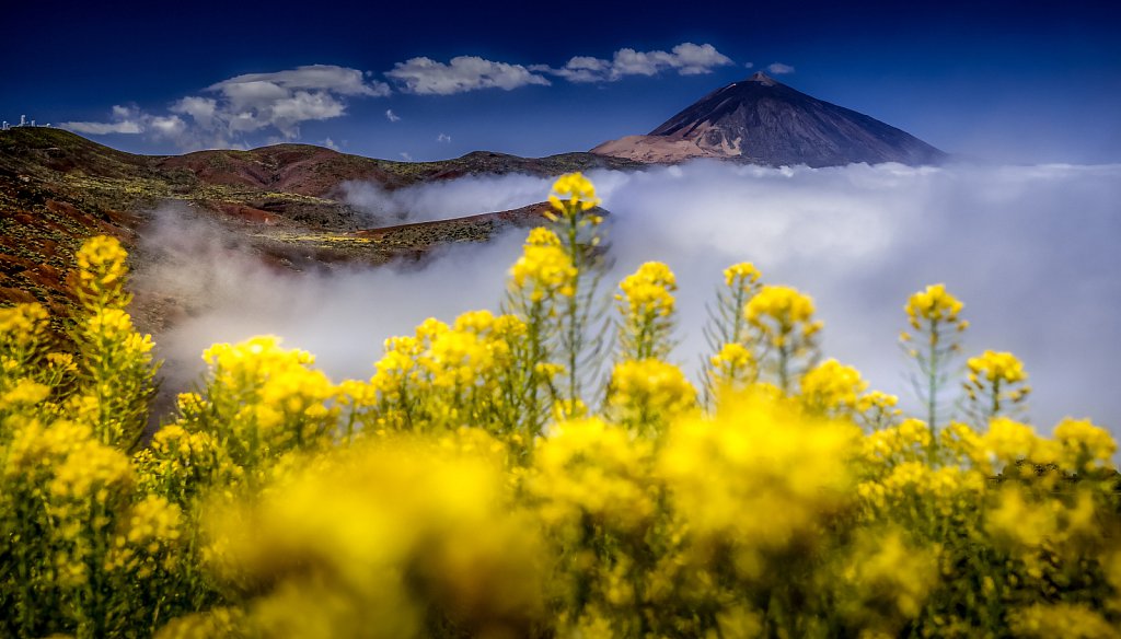 Teide